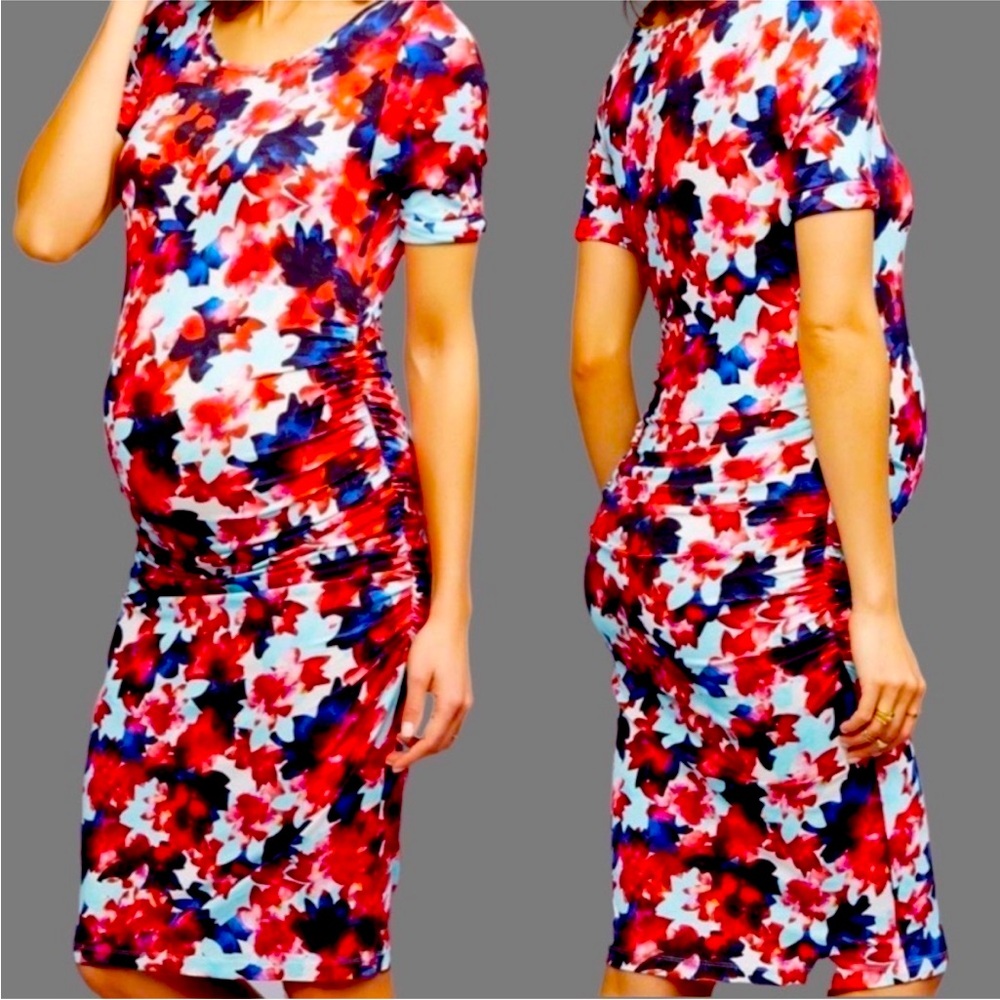 Isabella Oliver Maternity Dress